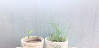 Nhật ký số 02 của bạn Hương