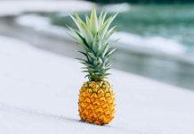 Nhật ký – hành trình tháng 11 năm 2021