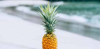 Nhật ký – hành trình tháng 11 năm 2021