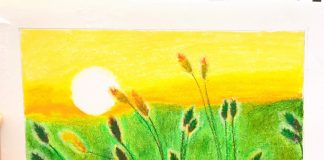 Nhật ký số 06 của bạn Hương