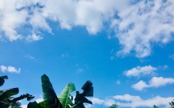 Nhật ký số 15 của bạn Hương Cuốn sách online: Bước tiếp theo...