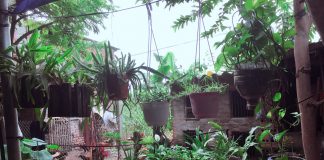 Nhật ký số 19 của bạn Hương Nhật ký số 19 của bạn Hương