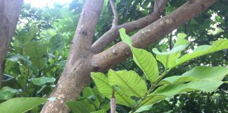Nhật ký số 23 của bạn Hương
