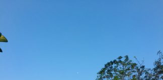 Nhật ký số 28 của bạn Hương