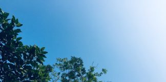 Nhật ký số 30 của bạn Hương