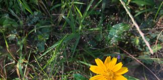 Nhật ký số 29 của bạn Hương