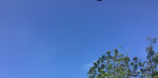 Nhật ký số 37 của bạn Hương