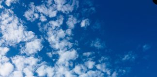 Nhật ký số 42 của bạn Hương Nhật ký số 42