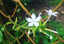 Nhật ký số 47 của bạn Hương Nhật ký số 47 của bạn Hương