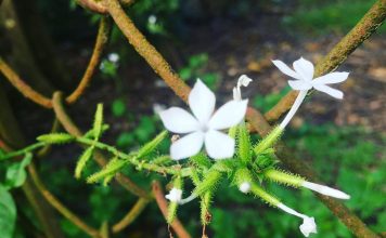 Nhật ký số 47 của bạn Hương Nhật ký số 47 của bạn Hương